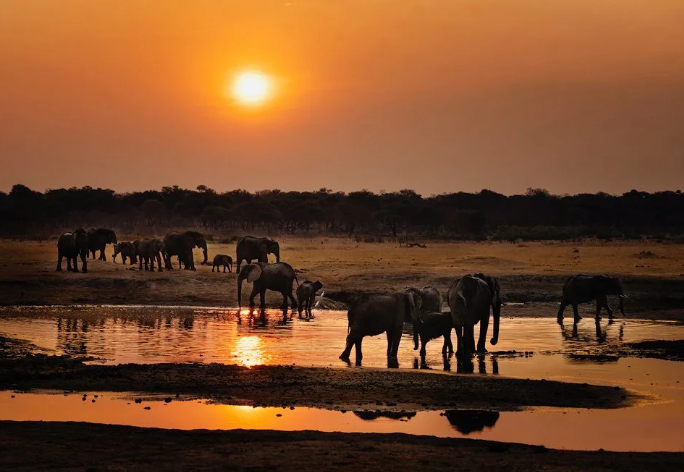 Great Guide Safaris Kennedy Fly Camp thumbnail 2